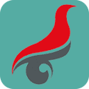 中国高等教育学生信息网(学信网)